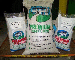 Grass Seed